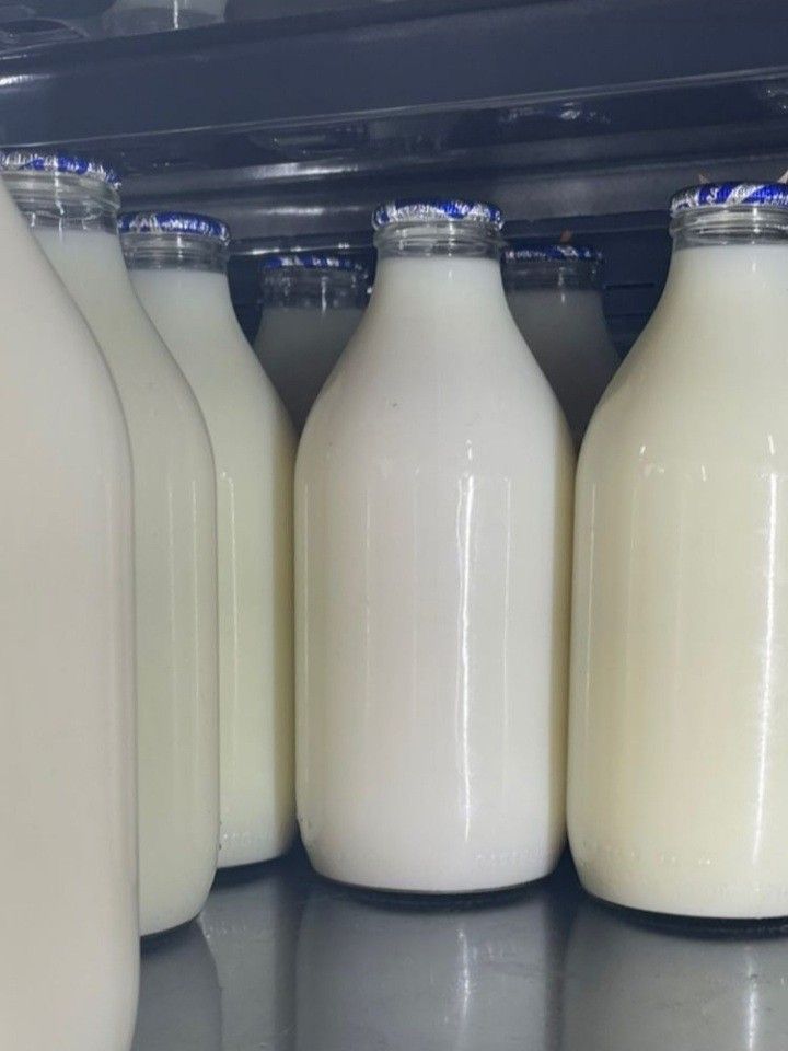 Fresh Milk
