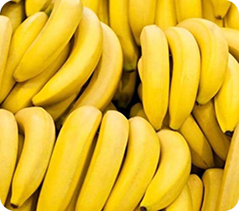 Organic Bananas