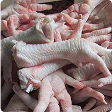 Fresh Chicken Legs