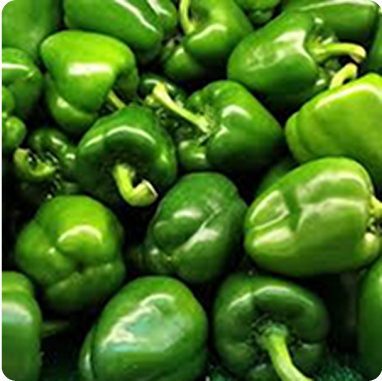 Bell Pepper